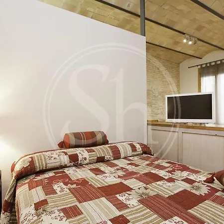 Practico En Gracia Apartment Barcelona