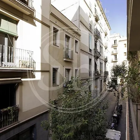 Practico En Gracia * Barcelona